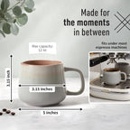 Stoneware Ceramic Coffee Mugs Set of 4, 12 oz | Sage Ash